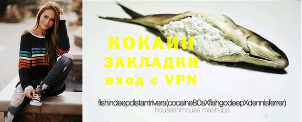 бошки Новодвинск