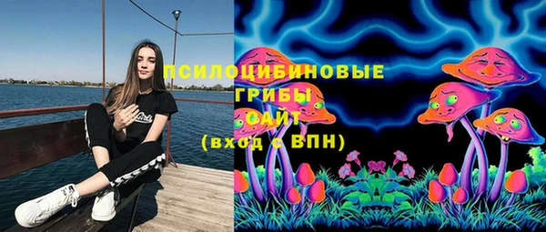 гашиш Новокубанск
