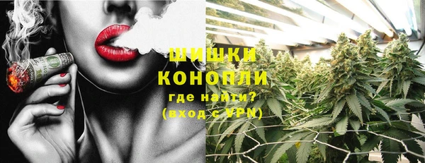 бошки Новодвинск