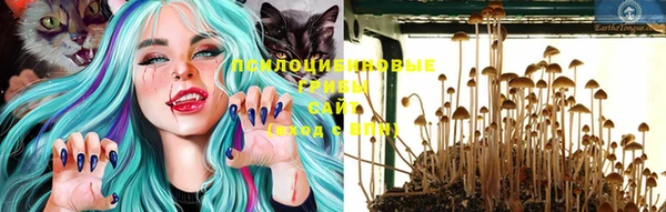 гашиш Новокубанск