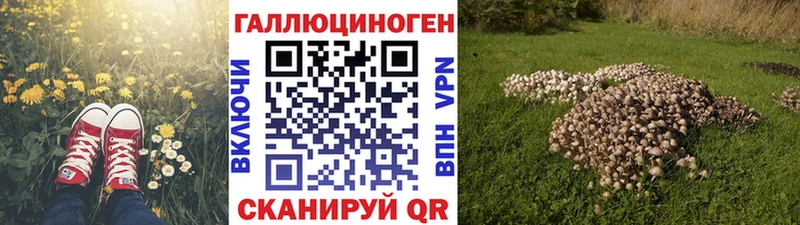 Псилоцибиновые грибы мухоморы  кракен рабочий сайт  Суоярви 